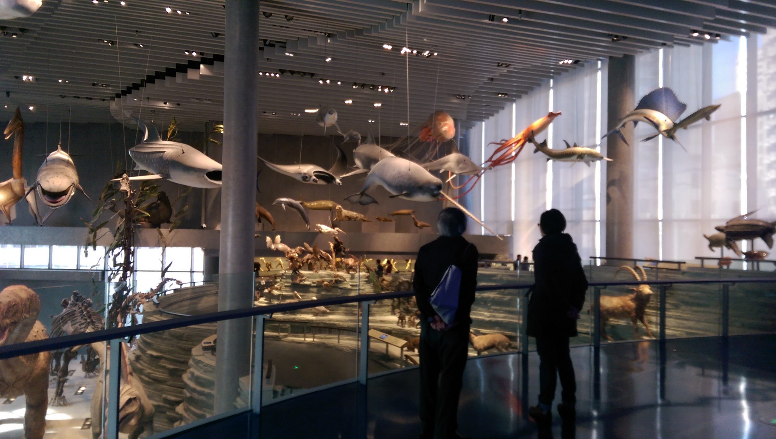 Two people stand on a balcony in a museum, observing a large exhibit of suspended marine animal models. The display includes various fish and sea creatures, set against a backdrop of glass windows.