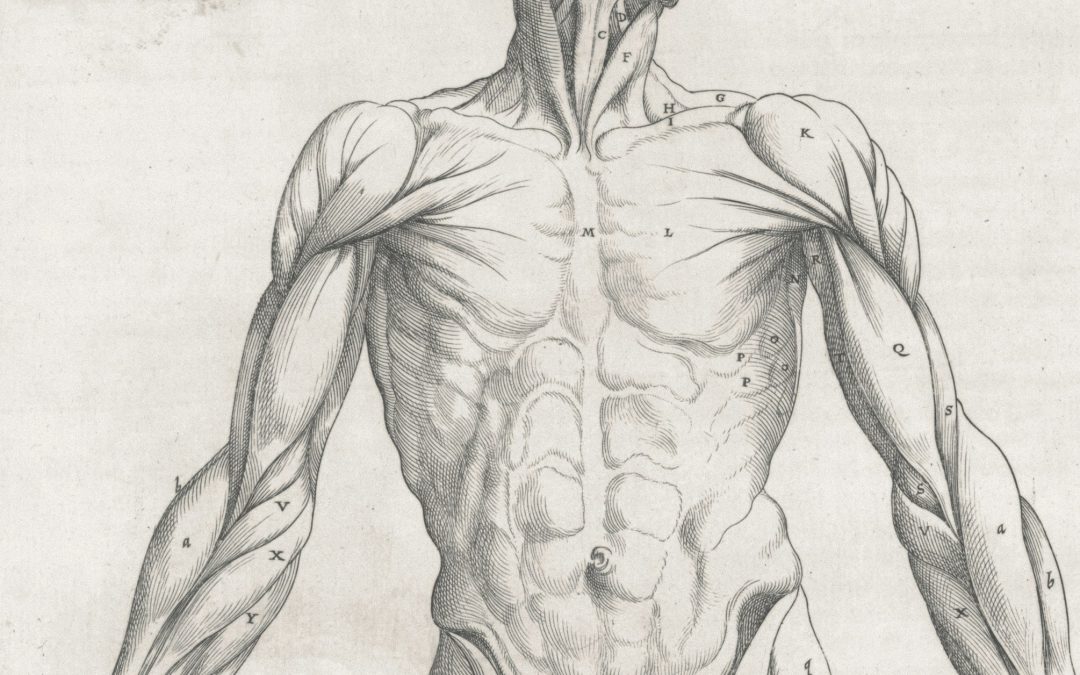 Anatomy of an Edit (part two)