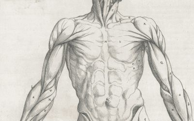 Anatomy of an Edit (part two)